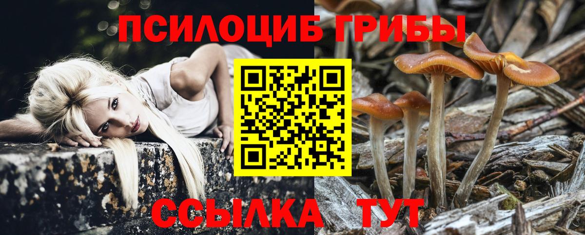 Псилоцибиновые грибы MAGIC MUSHROOMS  Вход с VPN  где купить   Нарткала 
